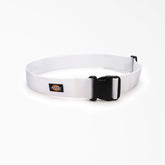 Dickies Painter's Heavy-Duty Work Tool Belt, 2"