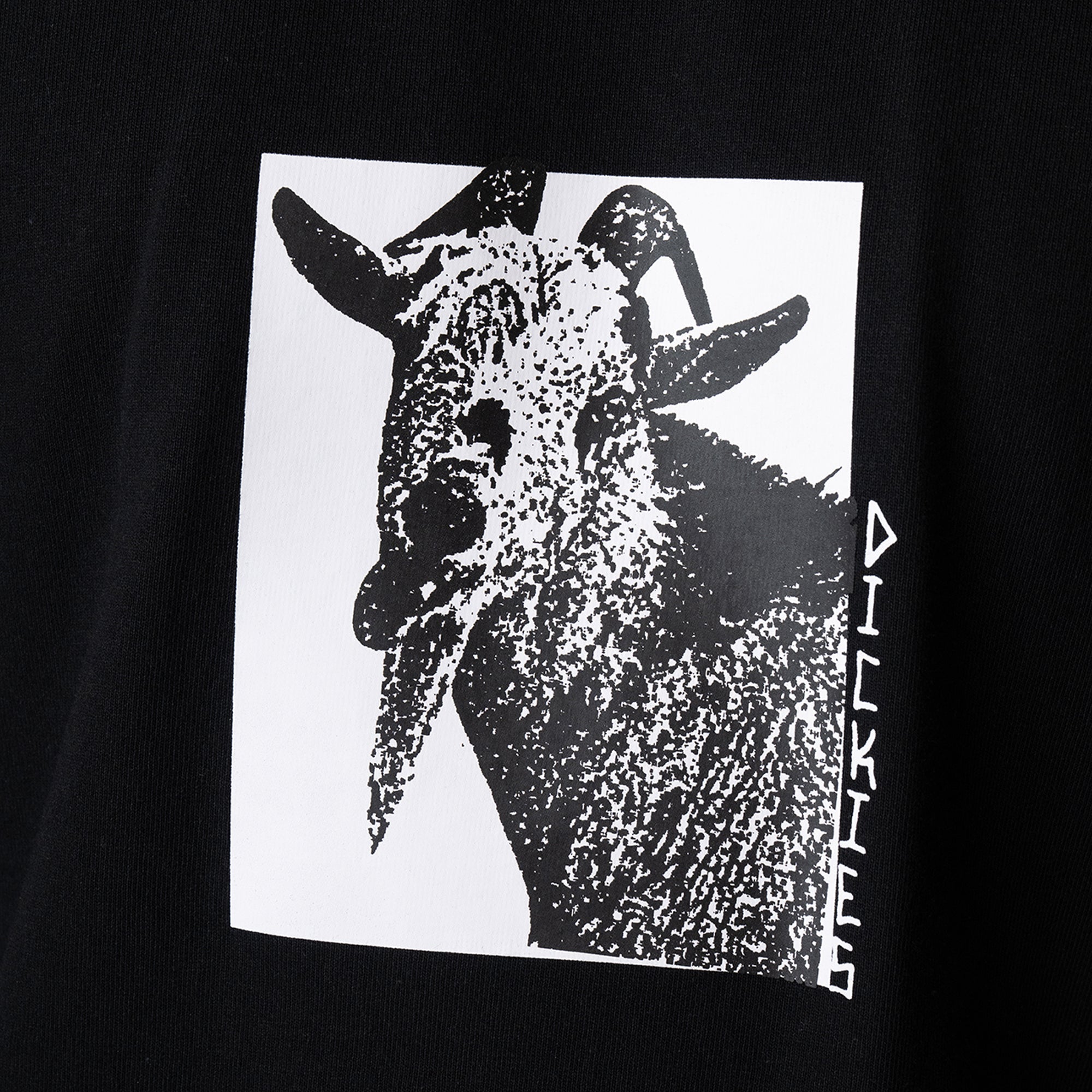 Dickies Mike Anderson Graphic T-Shirt