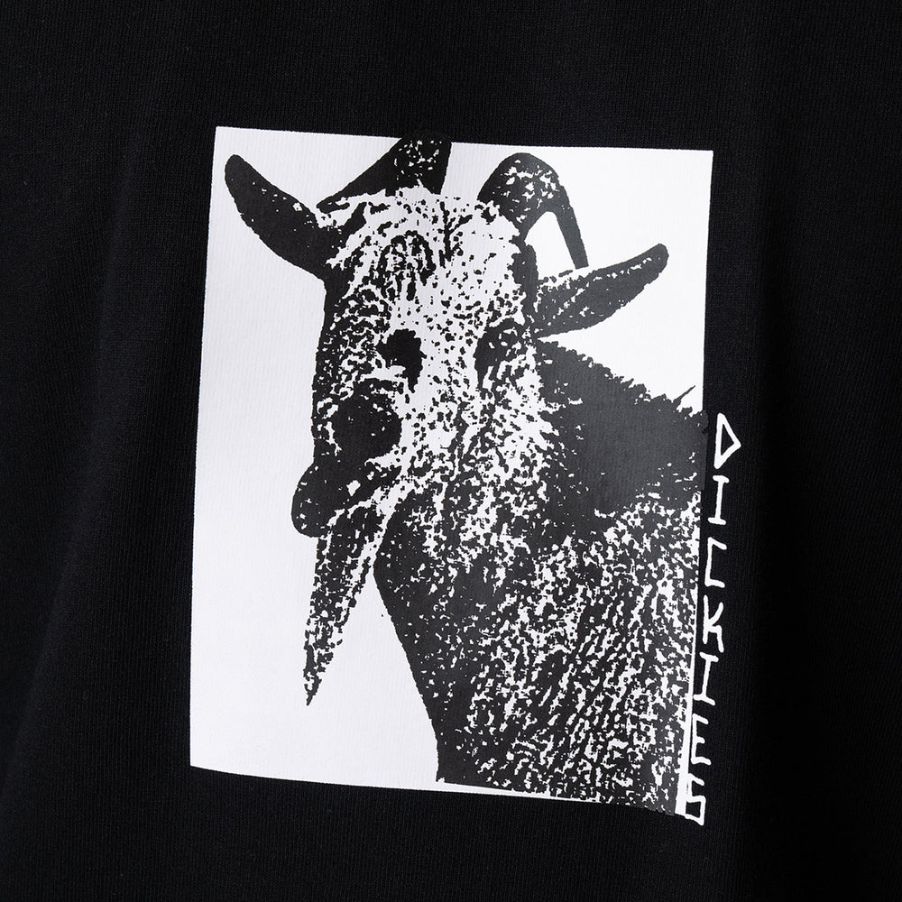 Dickies Mike Anderson Graphic T-Shirt